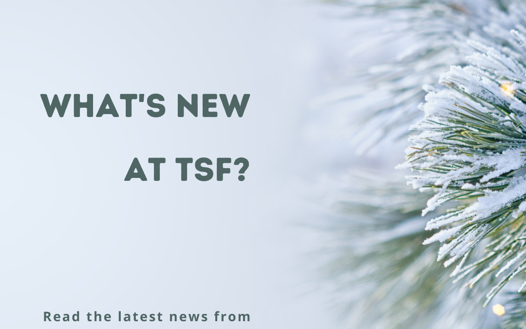 What's New at TSF? January 2023