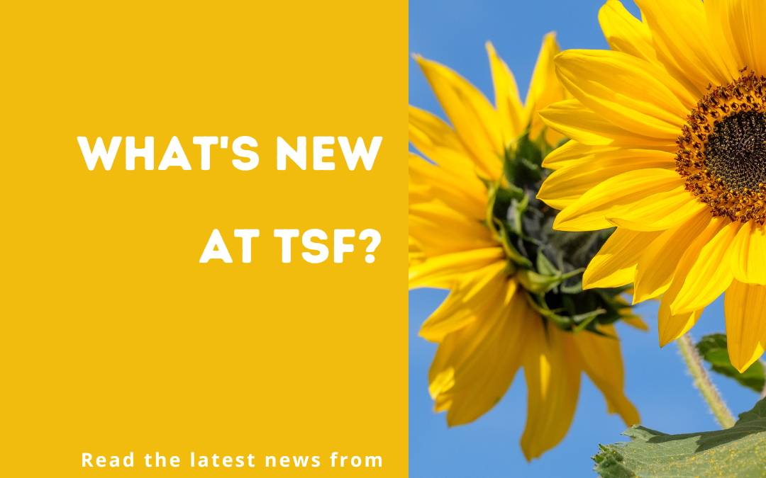 What's New at TSF? Summer 2023